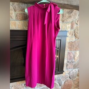 NWT: Calvin Klein pink Dress with Gold Zipper